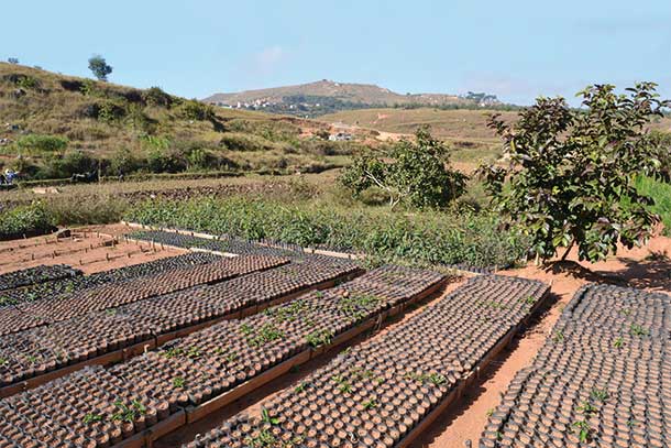 Nursery EPSILON Madagascar