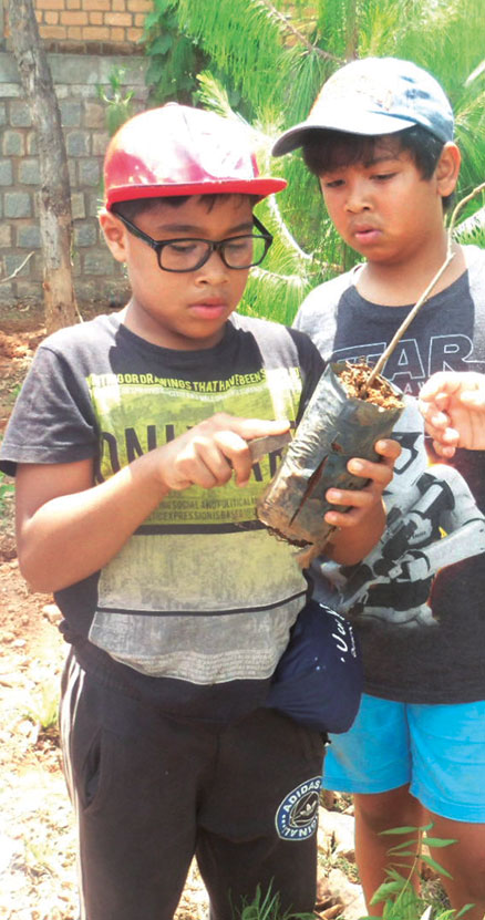 Planting trees in Madagascar