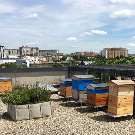 Milleis Bank with CEPOVETT on the roofs of Paris